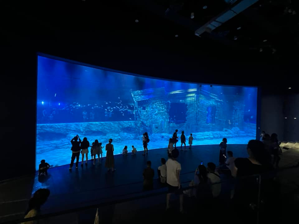 Trực tiếp chiêm ngưỡng khám phá mọi ngóc ngách trong thuỷ cung rất dễ dàng nhận thấy rằng nơi đây vẫn còn thiếu nhiều loài cá to, hay các sinh vật lạ mà chủ yếu là các loài cá nhỏ và đã khá phổ biến tại Việt Nam. Ảnh: Vu Viet Anh