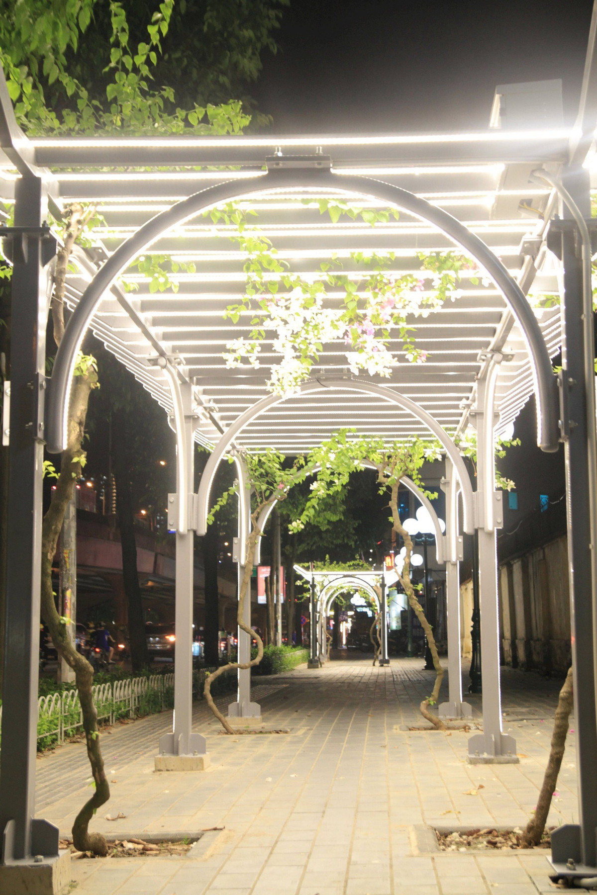 Ha Noi: Gian hoa doc dao tren via he duong Khuat Duy Tien-Hinh-18