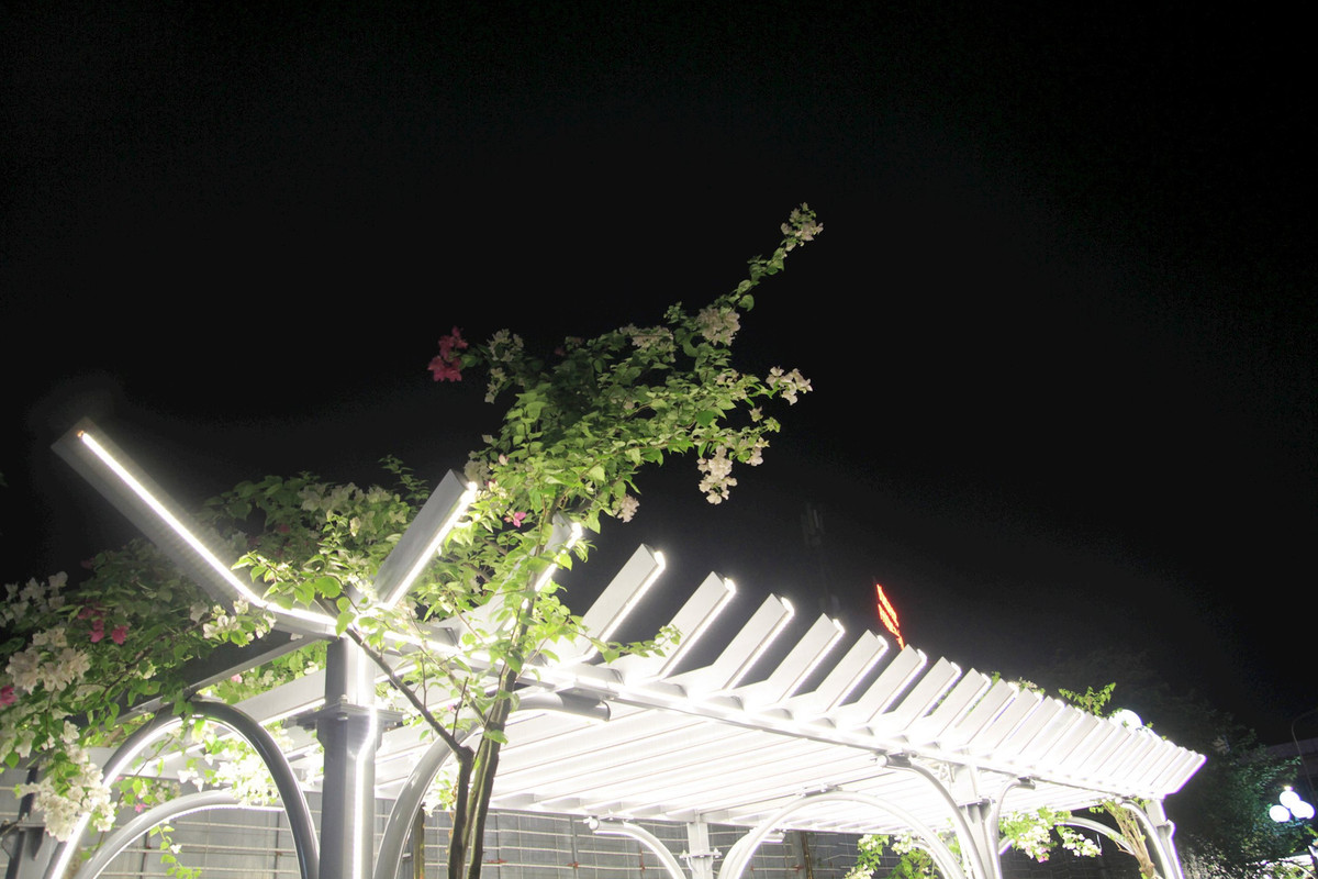 Ha Noi: Gian hoa doc dao tren via he duong Khuat Duy Tien-Hinh-13