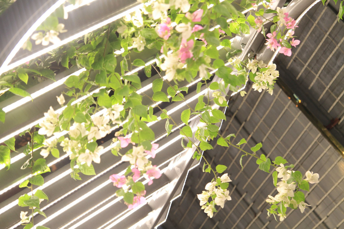 Ha Noi: Gian hoa doc dao tren via he duong Khuat Duy Tien-Hinh-15