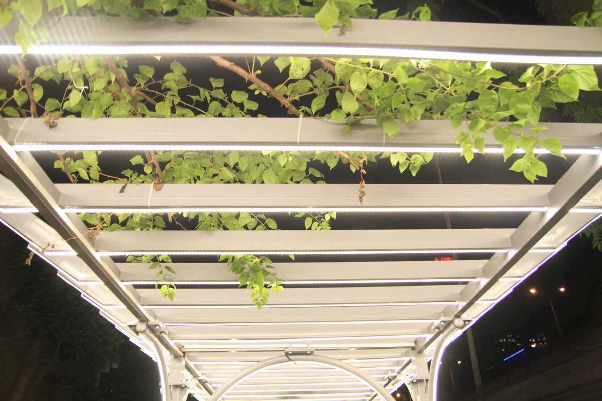 Ha Noi: Gian hoa doc dao tren via he duong Khuat Duy Tien-Hinh-3