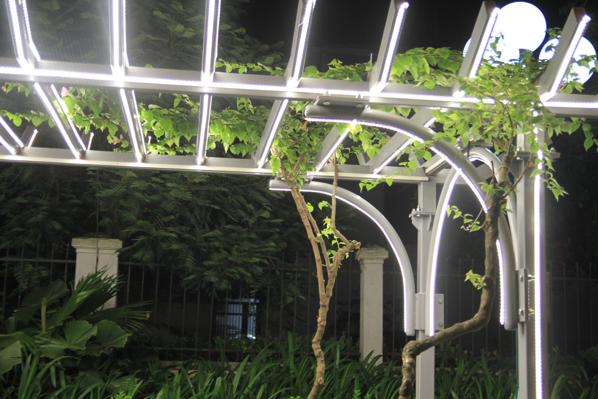 Ha Noi: Gian hoa doc dao tren via he duong Khuat Duy Tien-Hinh-6