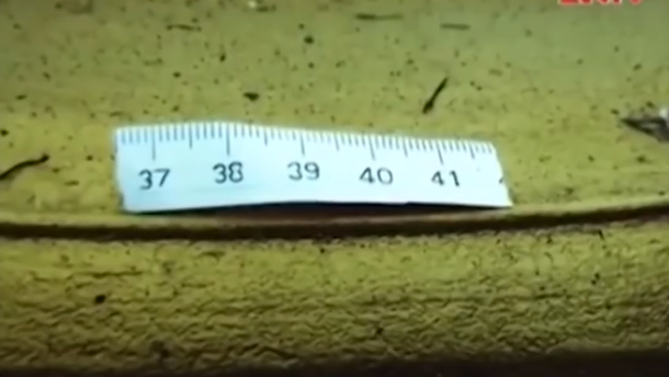 Cơ quan Công an còn thu được ở hiện trường một số mẩu dây được cho là ngòi nổ châm trước và sau khi cháy. Từ những nhận định ban đầu, Công an huyện Kim Động đã khoanh vùng đối tượng, đối tượng đặt mình ở vị trí cửa nhà Tam Bảo có ý định sát hại sư trụ trì Thích Quảng Bình, bởi đây là nơi đặt chiếc giường mà hàng ngày sự trụ trì vẫn nằm. Rất may hôm quả mìn nổ, sư Bình đang ở nhà Ngang chăm sóc mấy đứa trẻ mồ côi nên mới thoát nạn.