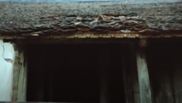 Một câu hỏi được đặt ra là tại sao ngôi chùa có tuổi đời hàng trăm năm tuổi lại bị đặt mìn? Hành động vi phạm nghiêm trọng này có mang mục đích phá hoại di tích lịch sử quốc gia hay đơn thuần chỉ là mâu thuẫn cá nhân? Nhận định đây là một dạng tội phạm mới, các đối tượng rất manh động và nguy hiểm hơn thế nữa sự việc xảy ra vào đêm mưa rét không có nhân chứng nên rất khó khăn cho quá trình xác minh điều tra.