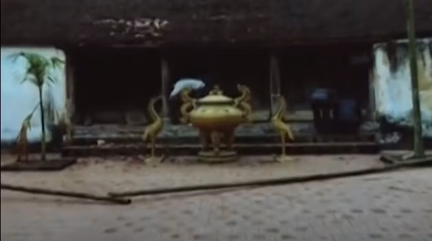 Với hành vi đặt mìn mưu sát sư trụ trìcủa mình các đối tượng đã phải chịu bản án nghiêm khắc từ pháp luật.