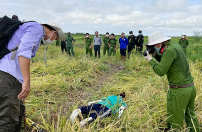 Ha Noi: Giang dien bay chuot bao ve lua gay chet nguoi