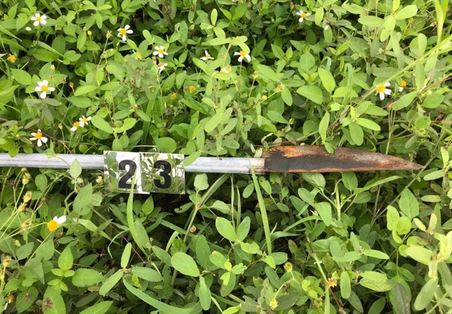 Sau khi tiếp nhận thông tin, Công an huyện Lục Nam đã báo cáo Giám đốc Công an tỉnh chỉ đạo Phòng Cảnh sát hình sự Công an tỉnh phối hợp điều tra, làm rõ vụ việc. Quá trình điều tra, cơ quan điều tra đã tạm giữ 12 đối tượng liên quan đến vụ việc nêu trên. 