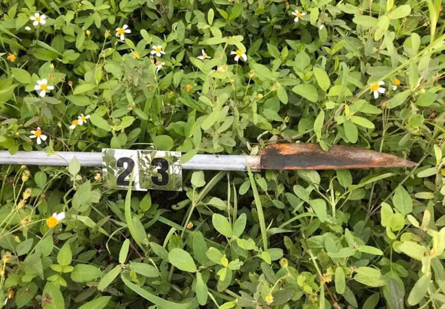 Sau khi tiếp nhận thông tin, Công an huyện Lục Nam đã báo cáo Giám đốc Công an tỉnh chỉ đạo Phòng Cảnh sát hình sự Công an tỉnh phối hợp điều tra, làm rõ vụ việc. Quá trình điều tra, cơ quan điều tra đã tạm giữ 12 đối tượng liên quan đến vụ việc nêu trên. 