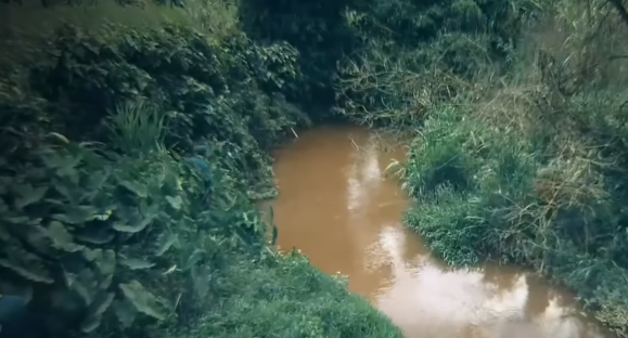 Sự việc được trình báo Công an xã Tân Thanh. Nhiều hồ nước tưới cà phê, suối gần nhà được mọi người rà soát (vì lo ngại bà Vượng và các cháu gặp nạn) vẫn không có dấu vết. Thường ngày bà Vượng chỉ ở nhà trông cháu, nếu có đi chơi chỉ lòng vòng quanh xóm, không thể đi xa.