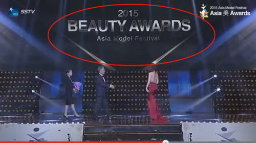 Clip Ngoc Trinh nhan giai o Han duoc lam gia mot cach lo bich-Hinh-4