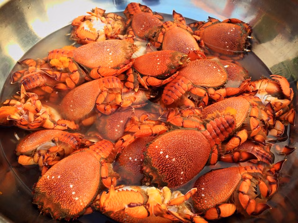 7 mon ngon phai thu khi du lich Ly Son dip 30/4