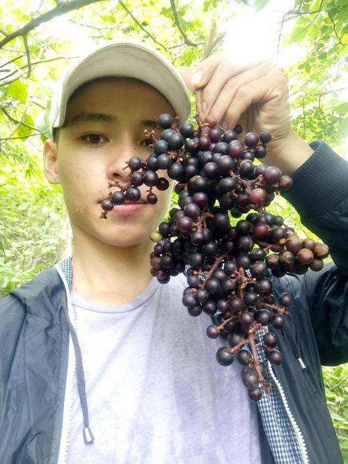 Trai 8X “do hoi” khi doc suc san giong nho rung quy hiem-Hinh-2