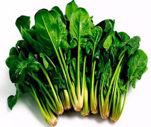 Rau cải bó xôi chứa nhiều chất dinh dưỡng khác nhau, bao gồm cả kali. Do đó, người bị thận cũng nên tránh ăn loại rau này. Ảnh: vuahatgiong.