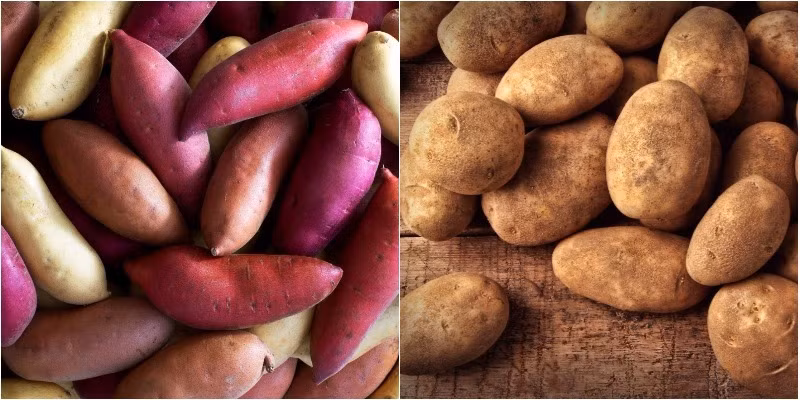 Trong chế độ ăn của người bị bệnh thận cũng nên tránh khoai tây và khoai lang bởi cả 2 loại củ này đều là những loại củ giàu kali. Ảnh: tgdd.