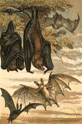 Không chỉ sát hại con người, Vetala còn tấn công cả những động vật được nuôi nhốt.