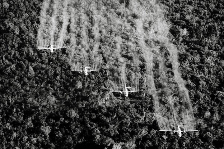 Một nhóm máy bay"Ranch Hand" C-123 của Mỹ rải chất độc diệt cỏ lên cánh rừng rộng lớn. Chất độc hóa học này khiến cây cối trong rừng chết khô và đất đai, nguồn nước nhiễm độc. Ảnh chụp tại Việt Nam tháng 9/1965.