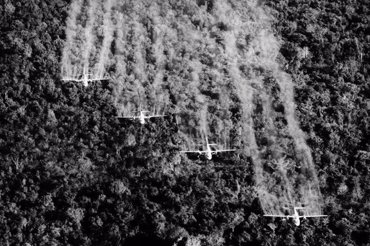 Một nhóm máy bay"Ranch Hand" C-123 của Mỹ rải chất độc diệt cỏ lên cánh rừng rộng lớn. Chất độc hóa học này khiến cây cối trong rừng chết khô và đất đai, nguồn nước nhiễm độc. Ảnh chụp tại Việt Nam tháng 9/1965.