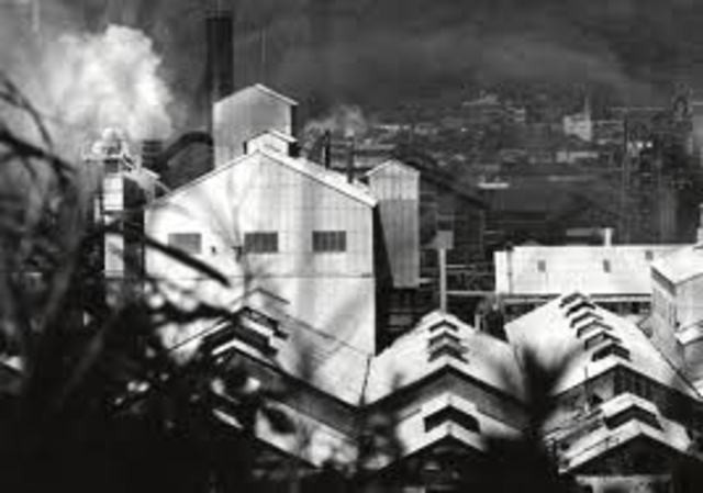 Theo báo cáo của các cơ quan chức năng, kể từ năm 1932, nhà máy của Chisso tại Minamata thải ra vùng biển gần thành phố này khoảng 27 tấn hợp chất kịch độc có tên gọi là thủy ngân vô cơ. Các chuyên gia cho hay đây là hợp chất được sinh ra trong quá trình sản xuất ra Acetal Dehyt.