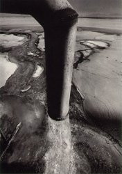 Hành động xả nước thải nhiễm thủy ngân ra vùng biển gần thành phố Minamata được Chisso tiến hành cho đến năm 1968. Trong suốt thời gian trên, hiện tượng cá chết hàng loạt xảy ra ở vùng biển gần Minamata.