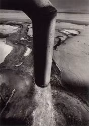 Hành động xả nước thải nhiễm thủy ngân ra vùng biển gần thành phố Minamata được Chisso tiến hành cho đến năm 1968. Trong suốt thời gian trên, hiện tượng cá chết hàng loạt xảy ra ở vùng biển gần Minamata.