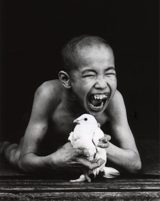 Theo đó, Chisso tiến hành bồi thường cho các nạn nhân trong thảm họa Minamata. Thế nhưng, hậu quả mà thảm kịch kinh hoàng này đến nay vẫn còn ảnh hưởng lớn đến cuộc sống người dân.