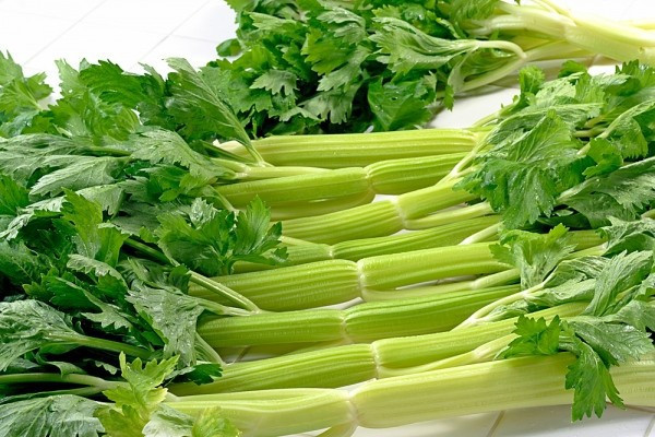 Nguyên do là vì hai loại rau này có nhiều công dụng. Trong đó, rau cần tây rất giàu protein, carotene, carbohydrate, vitamin B...