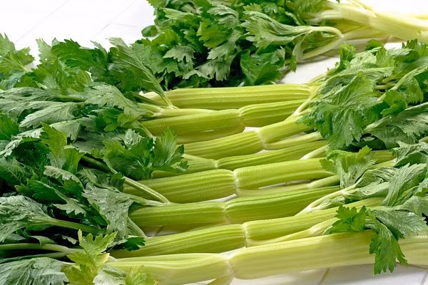 Nguyên do là vì hai loại rau này có nhiều công dụng. Trong đó, rau cần tây rất giàu protein, carotene, carbohydrate, vitamin B...