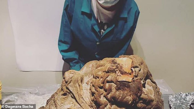 Cụ thể, các chuyên gia phát hiện sau khi hiến tế, thi thể trẻ em người Inca được đưa lên đỉnh núi hoặc núi lửa và đặt trên một phiến đá.