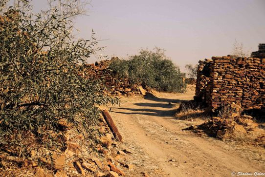 Sự việc này khiến nhiều người không khỏi lo lắng, sợ hãi. Vì vậy, trong suốt nhiều năm qua, không ai dám tới và ngủ lại qua đêm ở làng Kuldhara vì lo sợ sẽ vướng phải "lời nguyền" và trở thành nạn nhân tiếp theo. Mời quý độc giả xem video: Ngôi làng ở tận cùng trái đất (nguồn: VTC14).