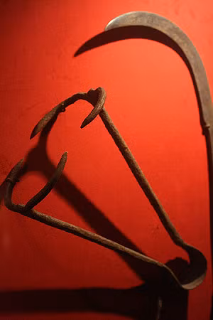 Quái chiêu tra tấn hãi hùng này khiến người dân thời Trung cổ, đặc biệt là phụ nữ khiếp sợ bởi mức độ tàn bạo mà nó gây ra.