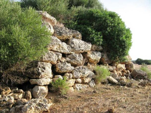 Puigpunyent là nơi tồn tại nhiều công trình bằng cự thạch có từ khoảng năm 1000 - 6000 trước Công nguyên. Những kiến trúc này do nền văn minh Tailiotic xây dựng.