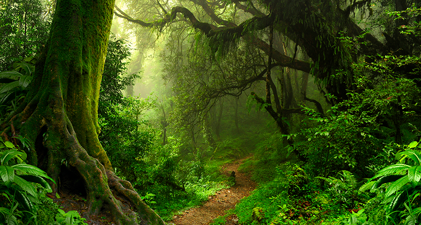 Để đi đến kết luận này, các chuyên gia đã lấy mẫu barit, một khoáng vật hơn 2 tỷ năm tuổi ở quần đảo Belcher, vùng ngoại ô Canada, để phân tích.