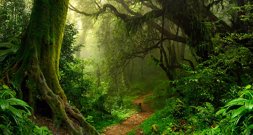 Để đi đến kết luận này, các chuyên gia đã lấy mẫu barit, một khoáng vật hơn 2 tỷ năm tuổi ở quần đảo Belcher, vùng ngoại ô Canada, để phân tích.