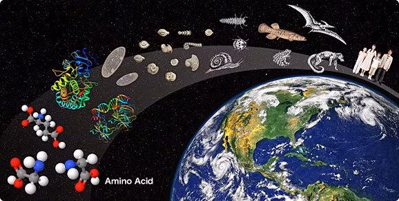 Tính toán của nhóm nghiên cứu chỉ ra 80 - 99,5% sinh vật bị xóa sổ vào cuối thời điểm diễn ra "sự kiện oxy hóa vĩ đại". Video: Ngôi làng ở "tận cùng Trái đất" (nguồn: VTC14)