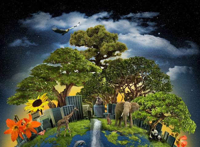 Các vi sinh vật dùng hết chất dinh dưỡng chúng cần để tạo ra oxy và làm cho bầu khí quyển Trái Đất thay đổi hoàn toàn. Trên thực tế, quá trình này tạo ra oxy trên phạm vi toàn cầu.