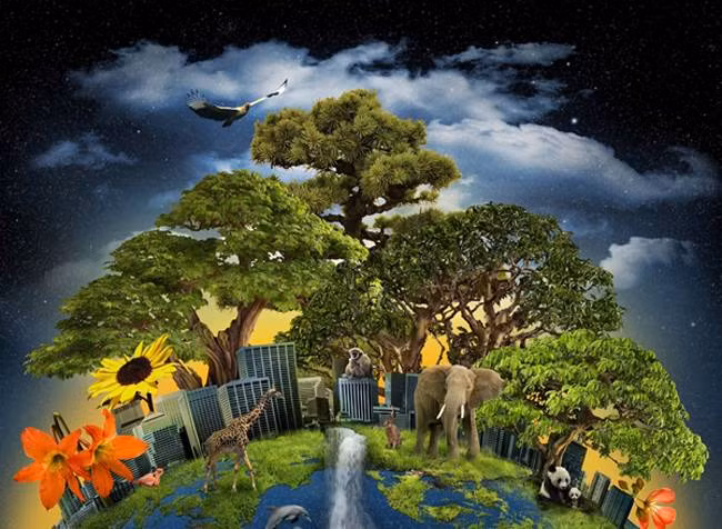 Các vi sinh vật dùng hết chất dinh dưỡng chúng cần để tạo ra oxy và làm cho bầu khí quyển Trái Đất thay đổi hoàn toàn. Trên thực tế, quá trình này tạo ra oxy trên phạm vi toàn cầu.