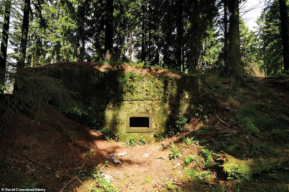 Hầm ngầm bí mật một thời nằm sâu trong rừng Huertgen, Eifel, Bắc Rhine-Westphalia, Đức.