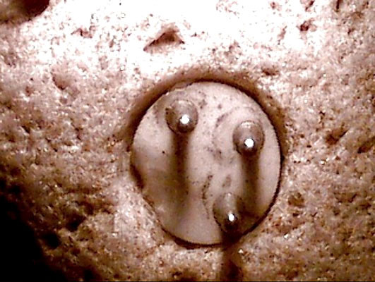 Các chuyên gia xác định hiện vật mà Williams tìm thấy có niên đại khoảng 100.000 năm tuổi. Theo đó, họ bác bỏ giả thuyết cho rằng vật thể này là đồ giả mạo.