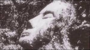 Tuy nhiên, một giả thuyết khác cho rằng, tượng đầu đá này chỉ là một phần của công trình khổng lồ nằm ẩn sâu dưới mặt đất mà con người chưa khai quật toàn bộ lên. Bí ẩn này không thể giải mã khi nó bị phá hủy trong chiến tranh.