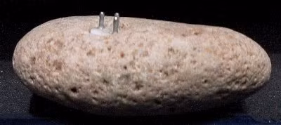 Vì vậy, một số người đam mê UFO cho rằng vật thể bí ẩn này có khả năng thuộc về người ngoài hành tinh bởi khi ấy phích cắm điện chưa được con người sáng chế và sử dụng. Video: Thụy Sĩ mở lớp dạy ngôn ngữ của người ngoài hành tinh (nguồn: VTC14)