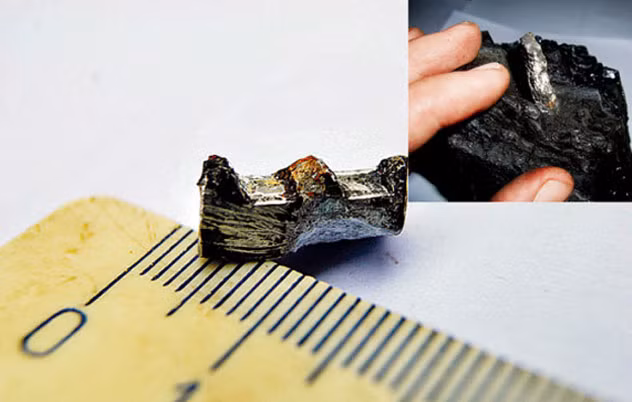 Một trong những hiện vật được cho là của người ngoài hành tinh là bánh răng UFO được một người đàn ông tìm thấy ở Vladivostok, trung tâm hành chính khu vực Primorsky Krai, Nga.