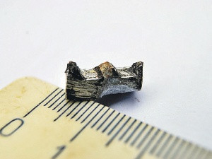 Với phát hiện này, giới chuyên gia không khỏi bất ngờ bởi nhôm có độ tinh khiết cao không thể hình thành một cách tự nhiên. Thêm nữa, con người tạo ra nhôm nguyên chất từ năm 1825.