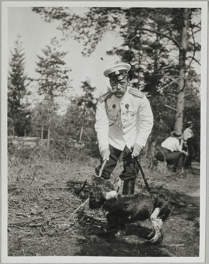 Sa hoàng Nicholas II chơi đùa với cún cưng.