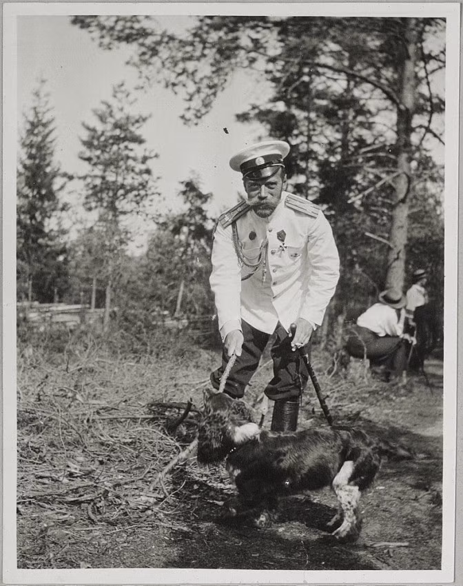 Sa hoàng Nicholas II chơi đùa với cún cưng.