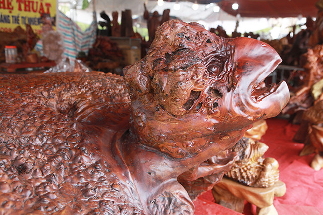 Toàn bộ tác phẩm bằng gỗ nu đinh hương nguyên khối, anh Phúc chỉ ghép thêm một ít gỗ ở đầu cụ rùa.