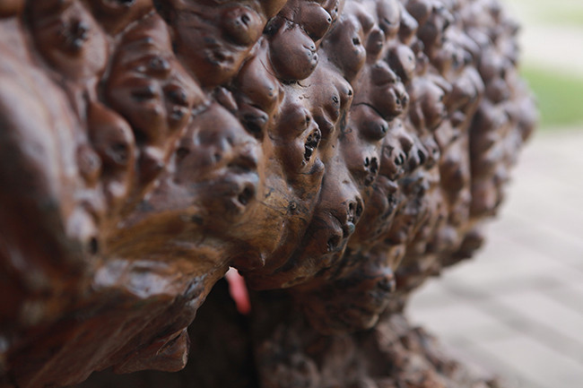 Chủ nhân của tác phẩm chỉ cần đánh bóng chứ không tác động vào hình dáng của khối gỗ