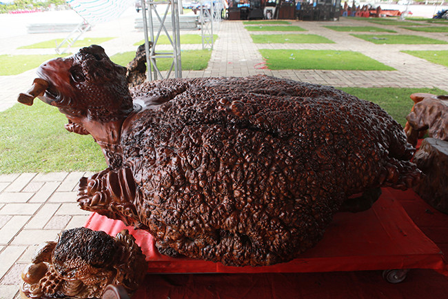 Theo đó, tượng nặng khoảng 700kg, cao 60cm, chiều dài 2,4m và chiều ngang 2m. Để biến gốc nu xù xì thành tượng rùa, anh Phúc phải làm việc ròng rã trong nhiều tháng trời