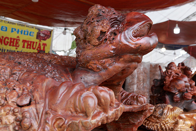 Phần chân trước…