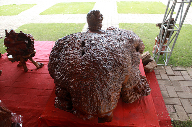 Cũng theo anh Phúc, do cách hình thành đặc biệt nên vân gỗ nu không theo một sự sắp xếp cố định nào, vân xoắn ngẫu nhiên, không có tim gỗ nên rất khó chế tác. Nếu không phải các thợ cao tay thì không ai dám nhận làm vì có thể vỡ, hỏng cả tác phẩm.