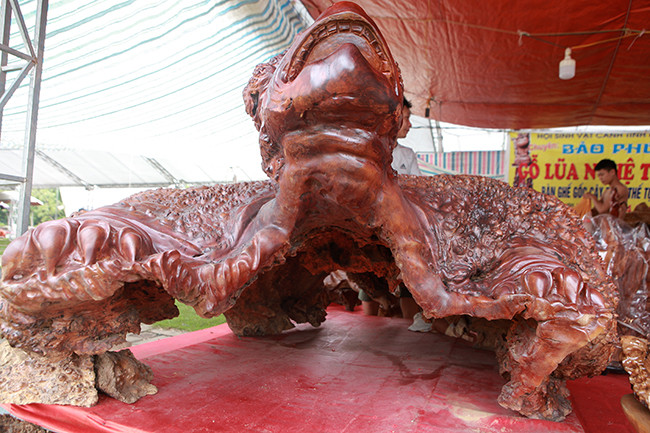 Bức tượng hình cụ rùa rỗng bên dưới, bên trong là lớp gỗ sần sùi